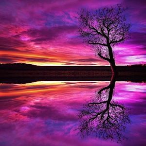 Meet your Posher, Elle